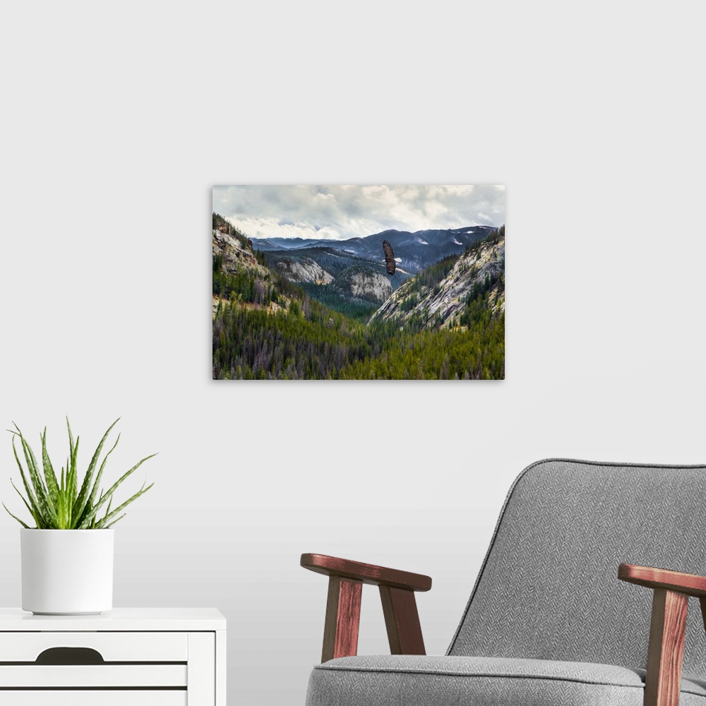 A modern room featuring Mountains With Eagle