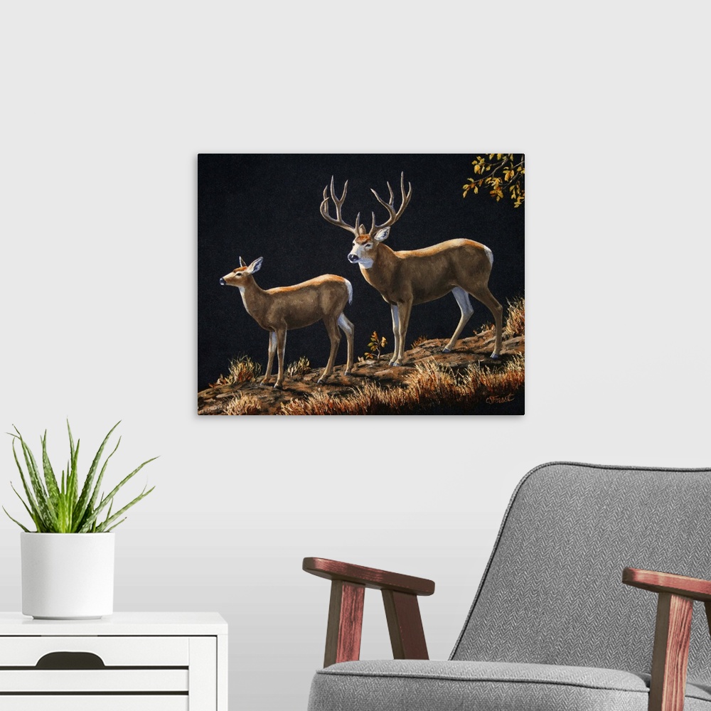 A modern room featuring Deer in the woods