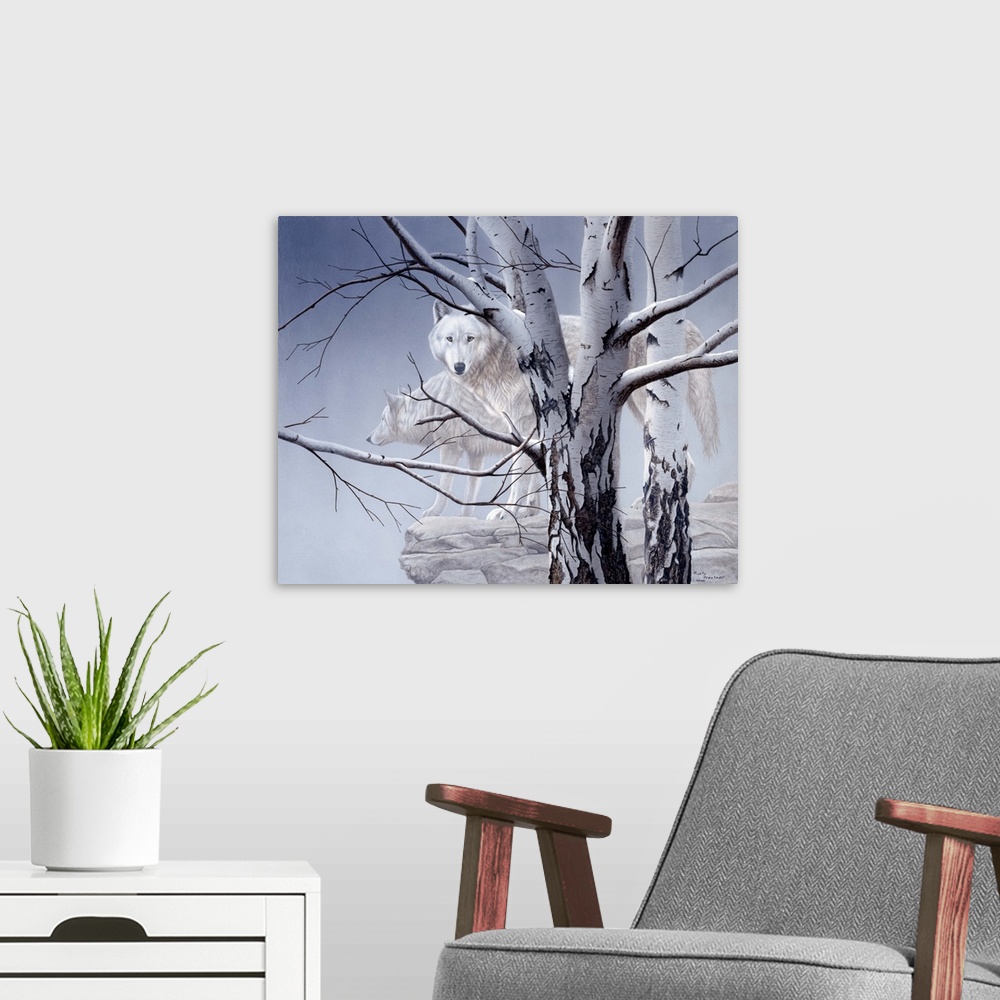 A modern room featuring Two white wolves standing on a ledge behind birch trees in heavy fog.