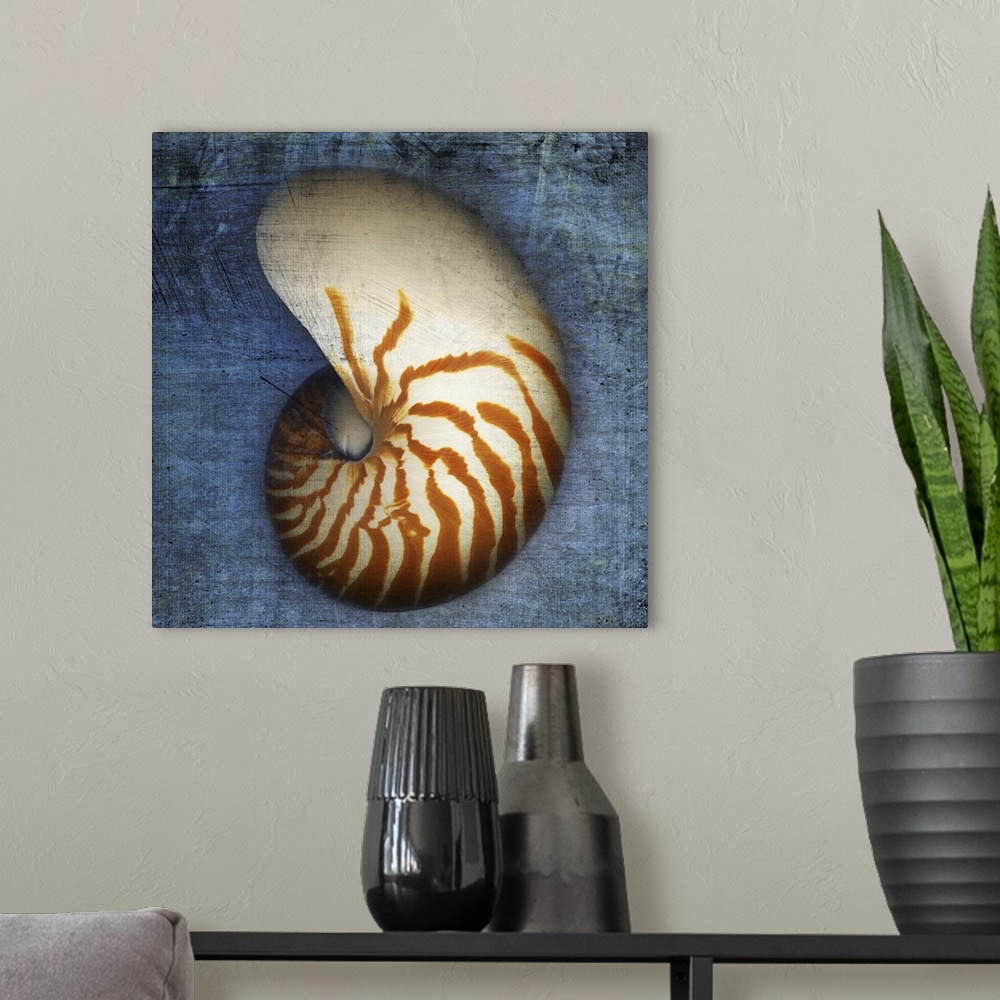 A modern room featuring Nautilus