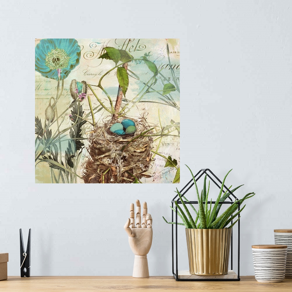 A bohemian room featuring Nest with robin's egg, flowers, postage, vintage