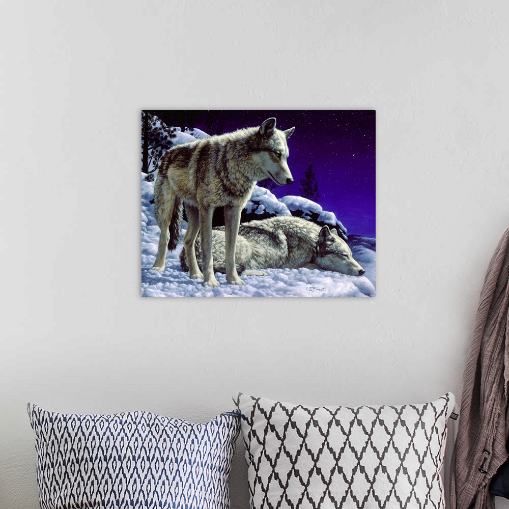 A bohemian room featuring Two wolves in the snow