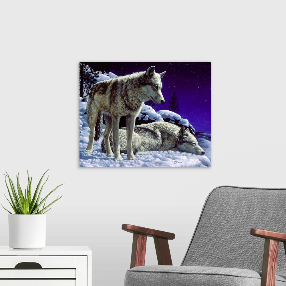 A modern room featuring Two wolves in the snow