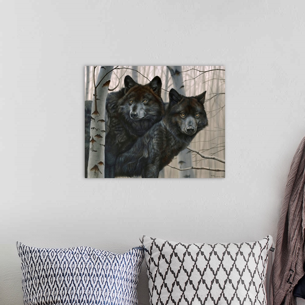 A bohemian room featuring Two black wolves in birches.