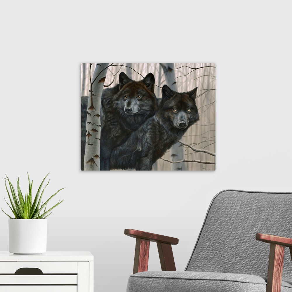 A modern room featuring Two black wolves in birches.