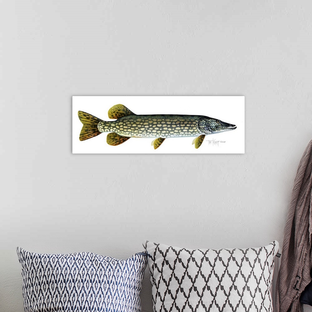 A bohemian room featuring Northern Pike