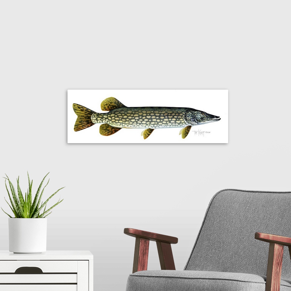 A modern room featuring Northern Pike