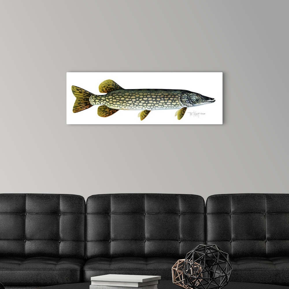 A modern room featuring Northern Pike