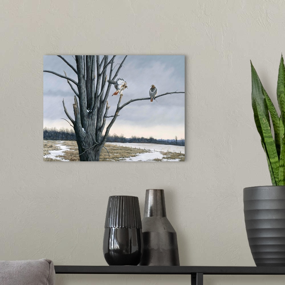 A modern room featuring A pair of hawks perched in a tree