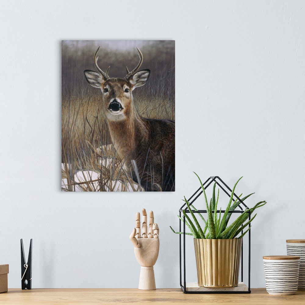 A bohemian room featuring A deer with small horns standing in a field.