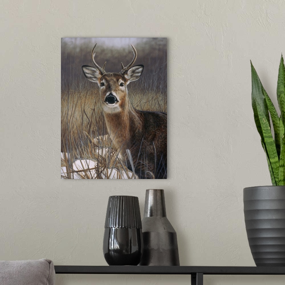 A modern room featuring A deer with small horns standing in a field.