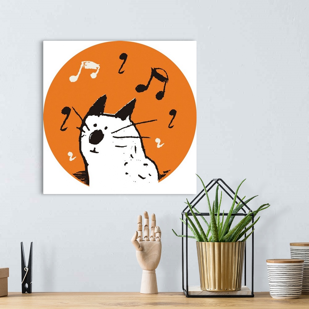 A bohemian room featuring kitten, music