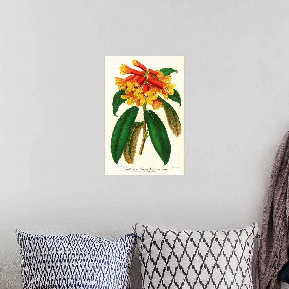 A bohemian room featuring Orange Yellow Rhododendron