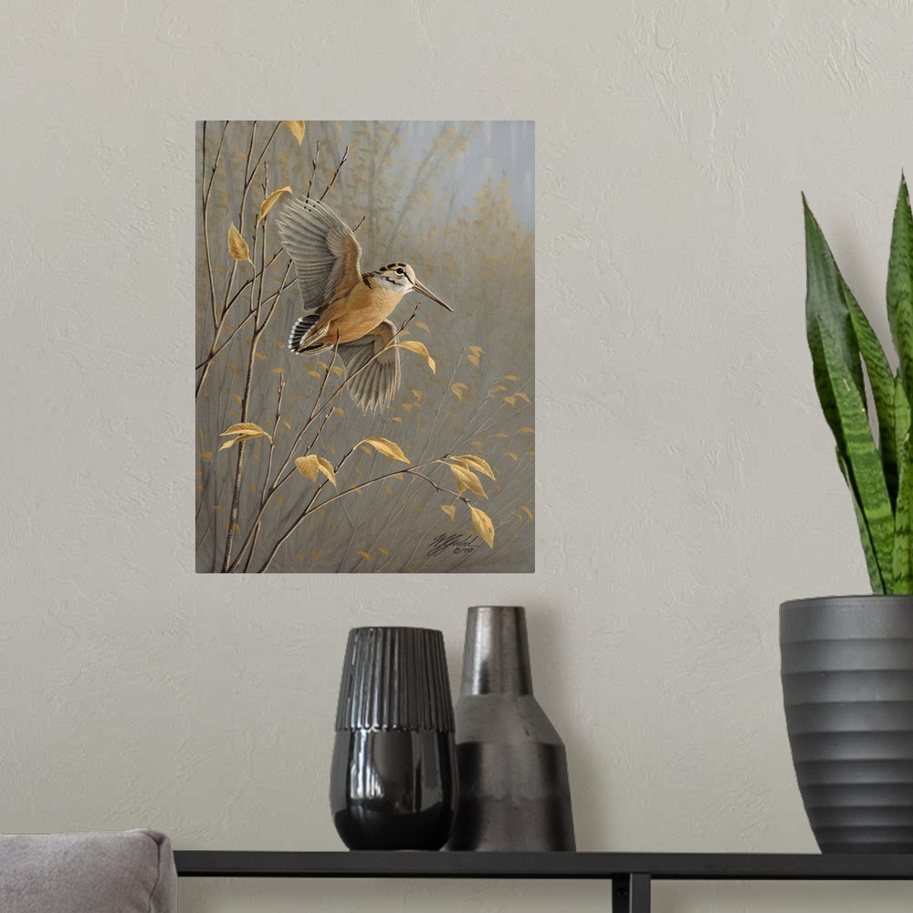 A modern room featuring A Woodcock in flight.