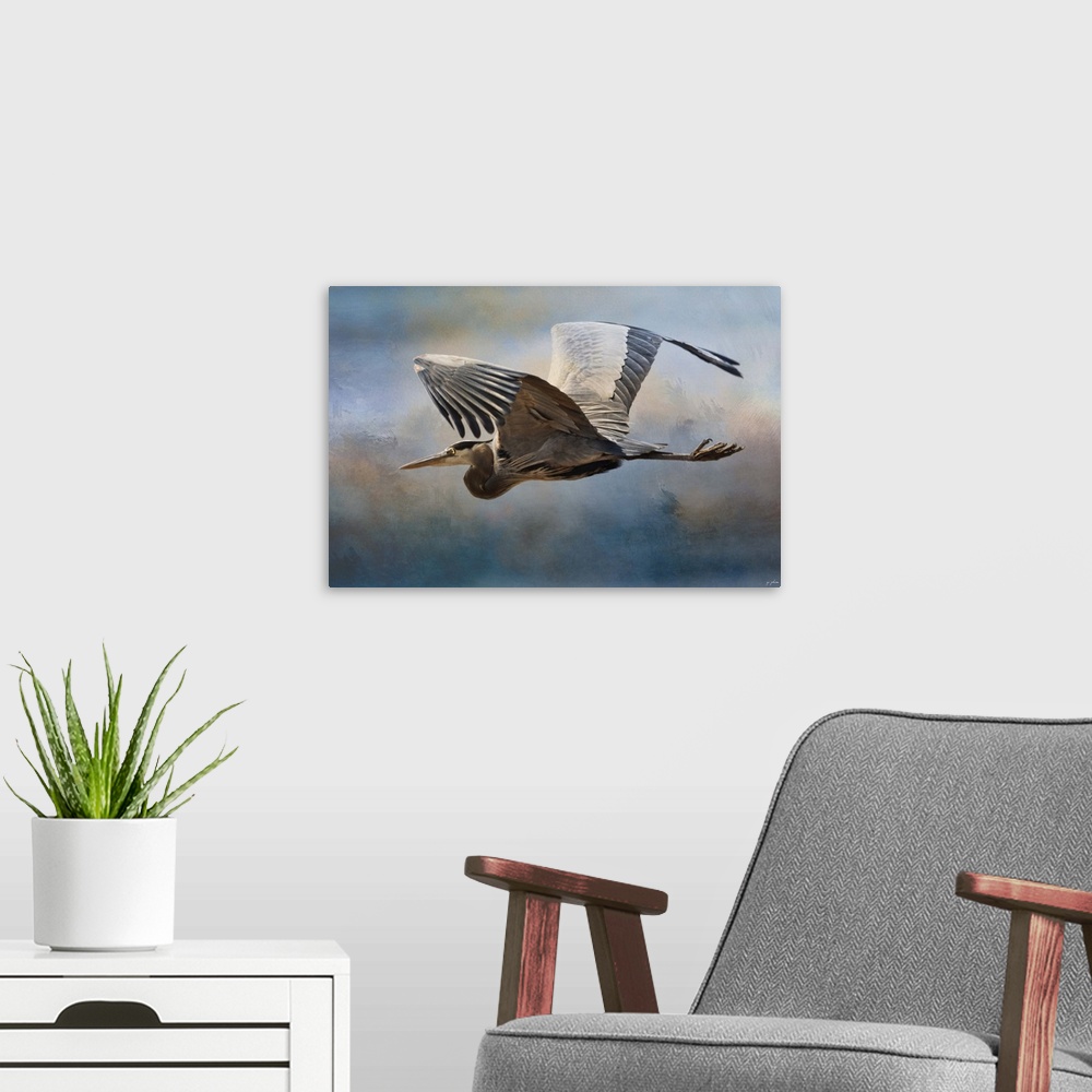 A modern room featuring A Great Blue Heron flaps its large wings as it flies past storm clouds.