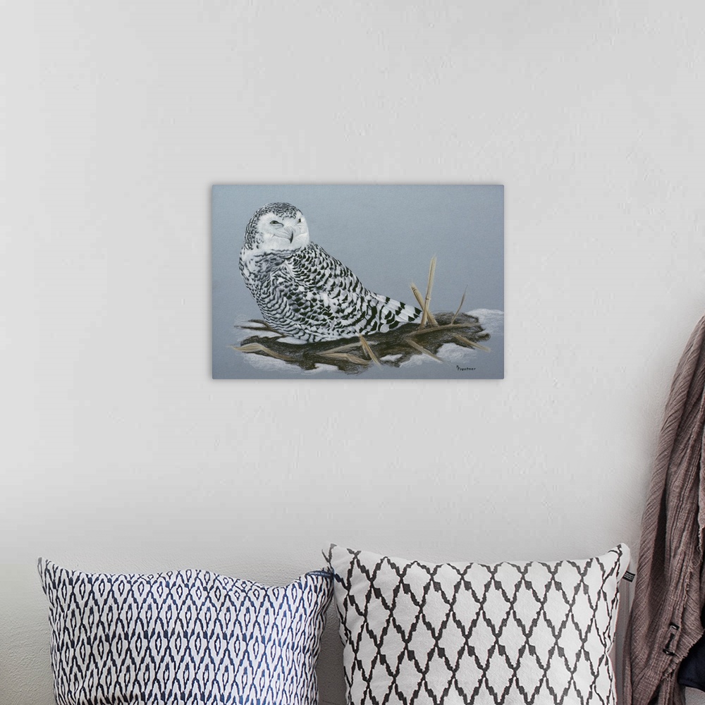 A bohemian room featuring A resting snowy owl