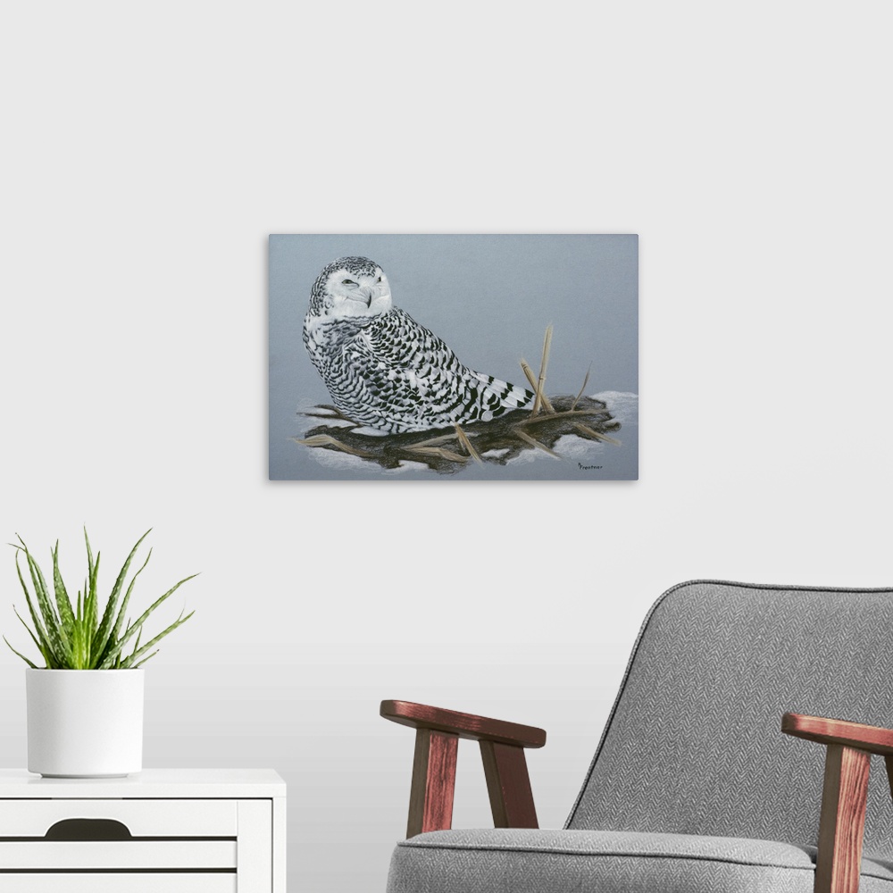 A modern room featuring A resting snowy owl
