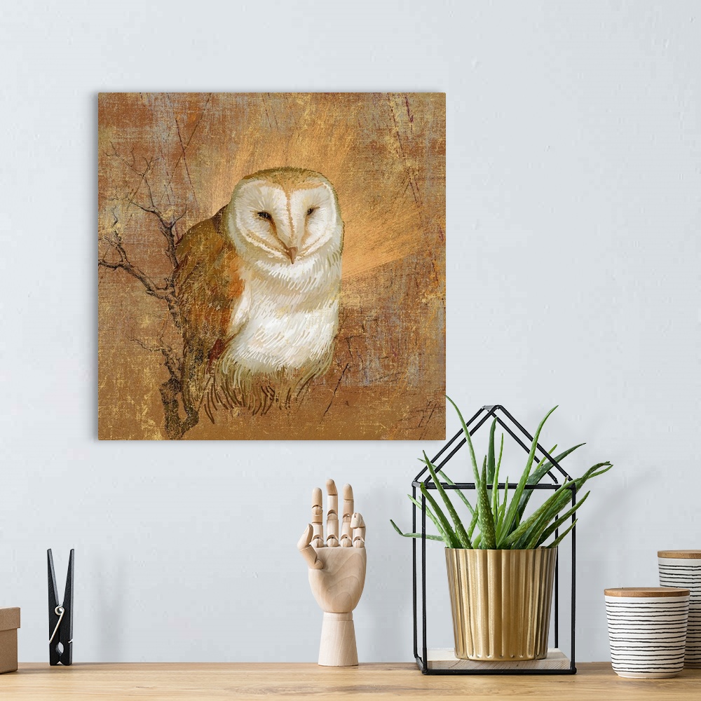 A bohemian room featuring Barn owl in abstract wood and field surroundings.