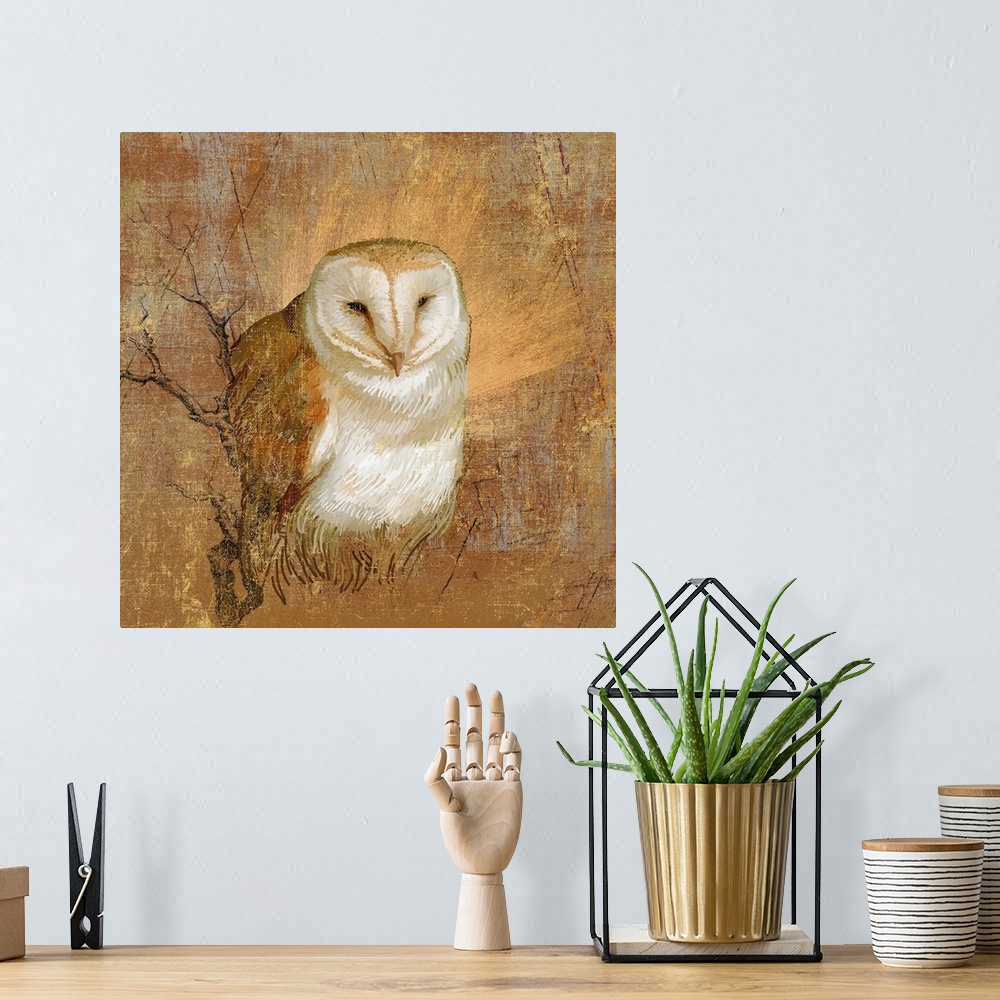 A bohemian room featuring Barn owl in abstract wood and field surroundings.