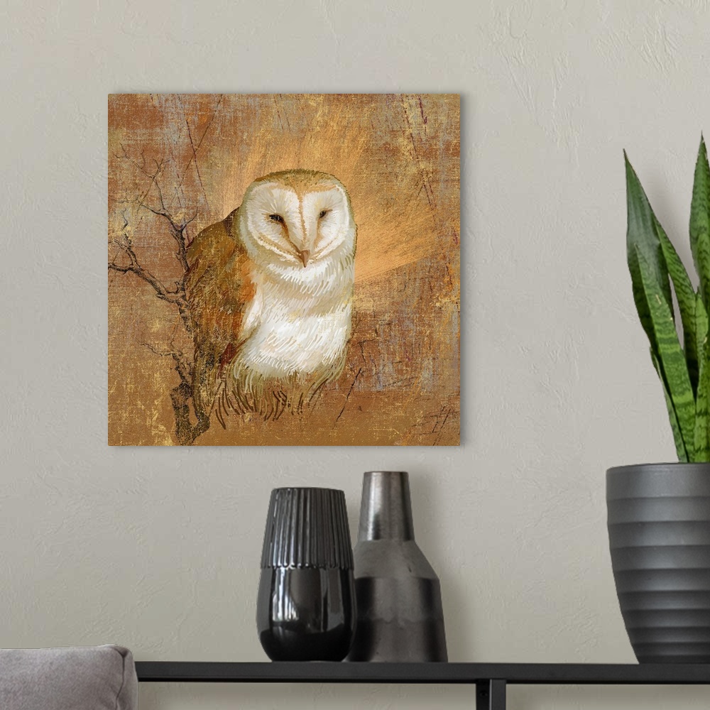 A modern room featuring Barn owl in abstract wood and field surroundings.