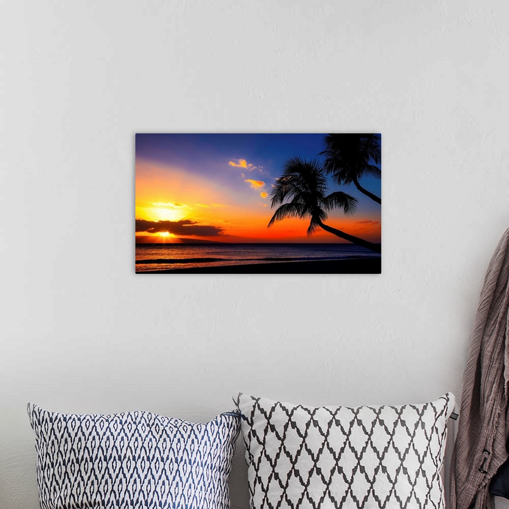 A bohemian room featuring Palm Trees Sunset