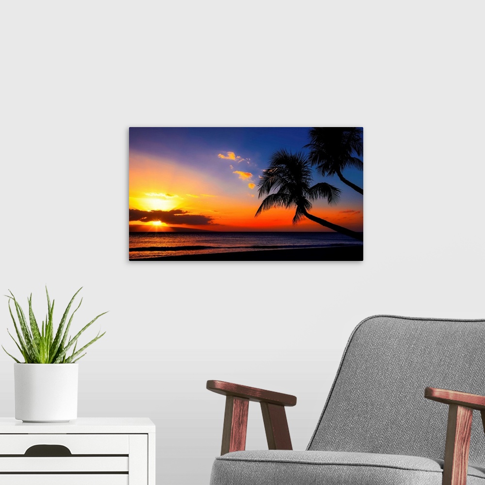 A modern room featuring Palm Trees Sunset