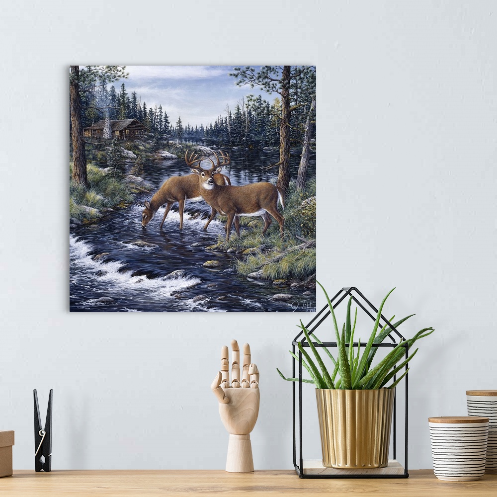 A bohemian room featuring 2 deer drinking from a mountain stream