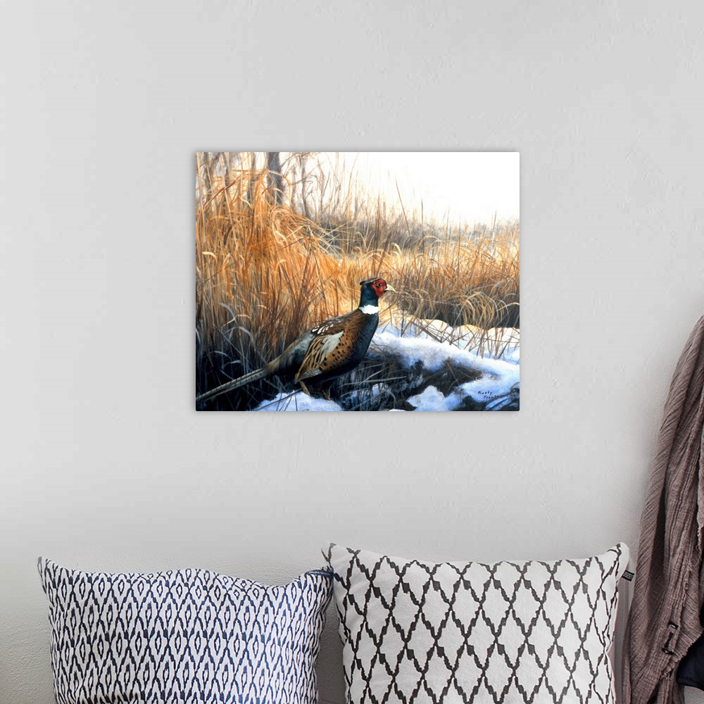 A bohemian room featuring A pheasant emerges from a grassy area onto a field.