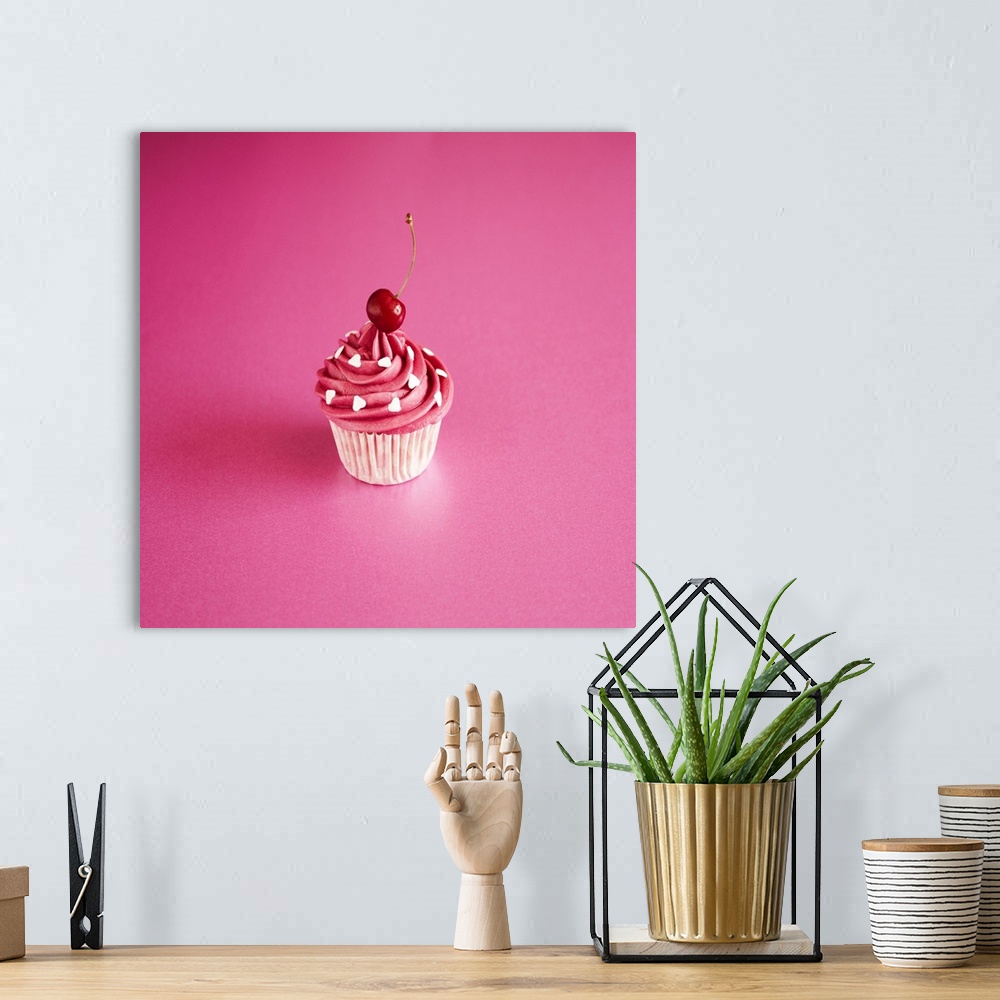 A bohemian room featuring Pink Cake on Pink with Cherry