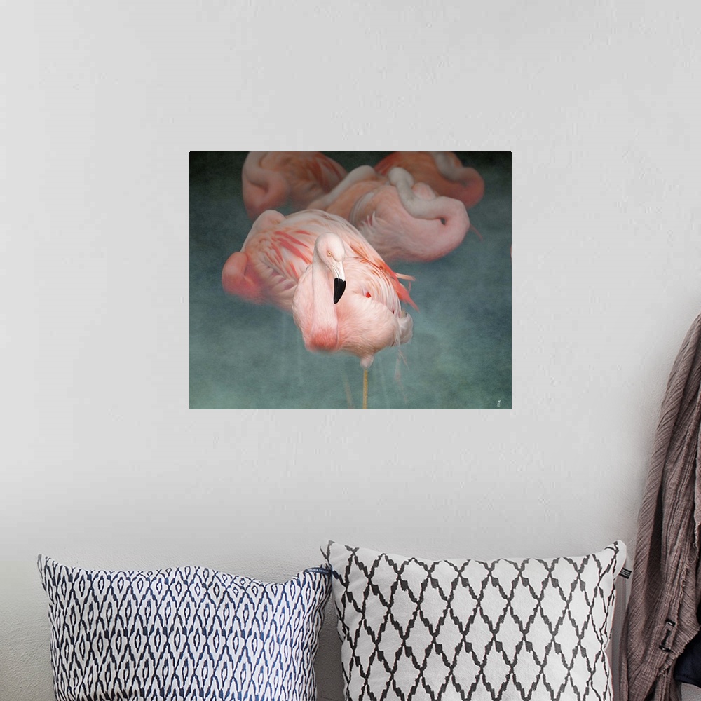 A bohemian room featuring A group of Greater Flamingoes, resting with their heads curled up against their bodies.