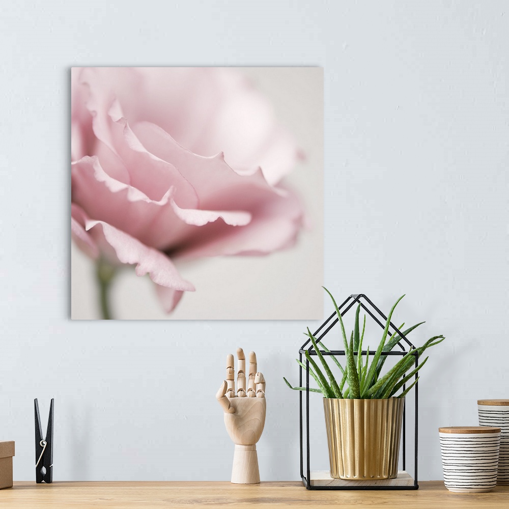 A bohemian room featuring Pink Flower 01