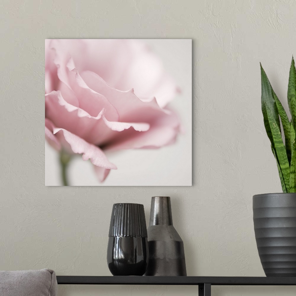 A modern room featuring Pink Flower 01