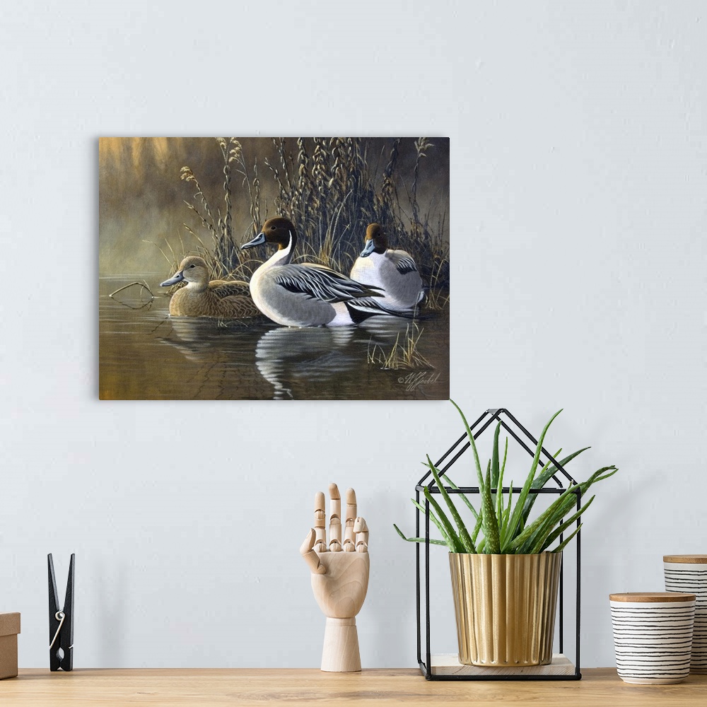 A bohemian room featuring Three ducks near water's edge.