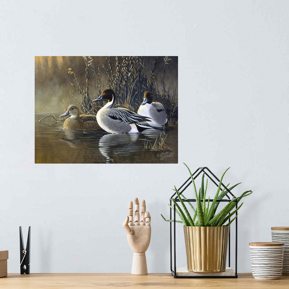 A bohemian room featuring Three ducks near water's edge.