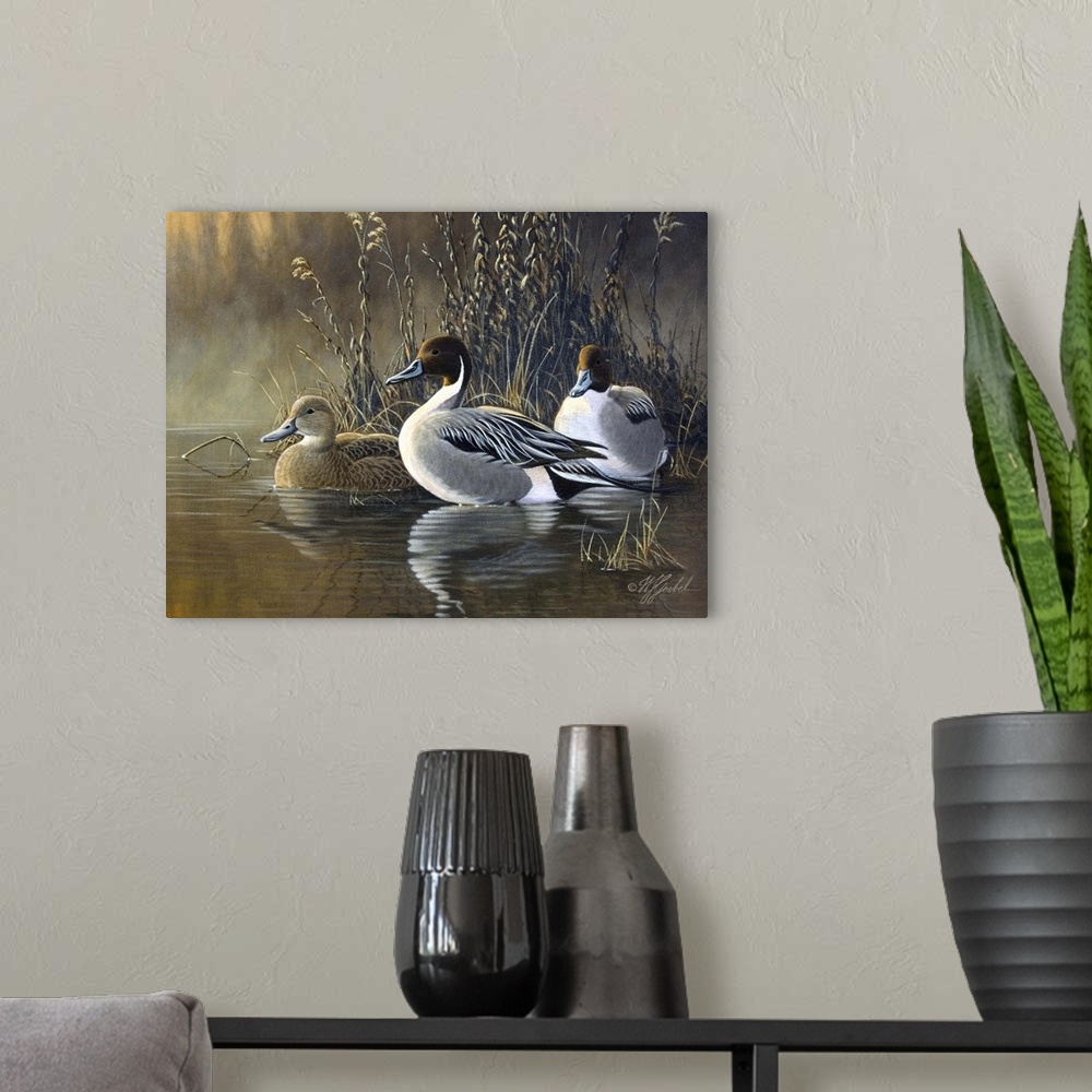 A modern room featuring Three ducks near water's edge.