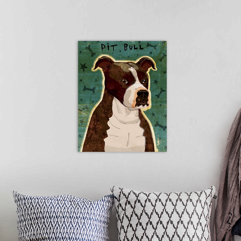 A bohemian room featuring Pit Bull (Brindle)