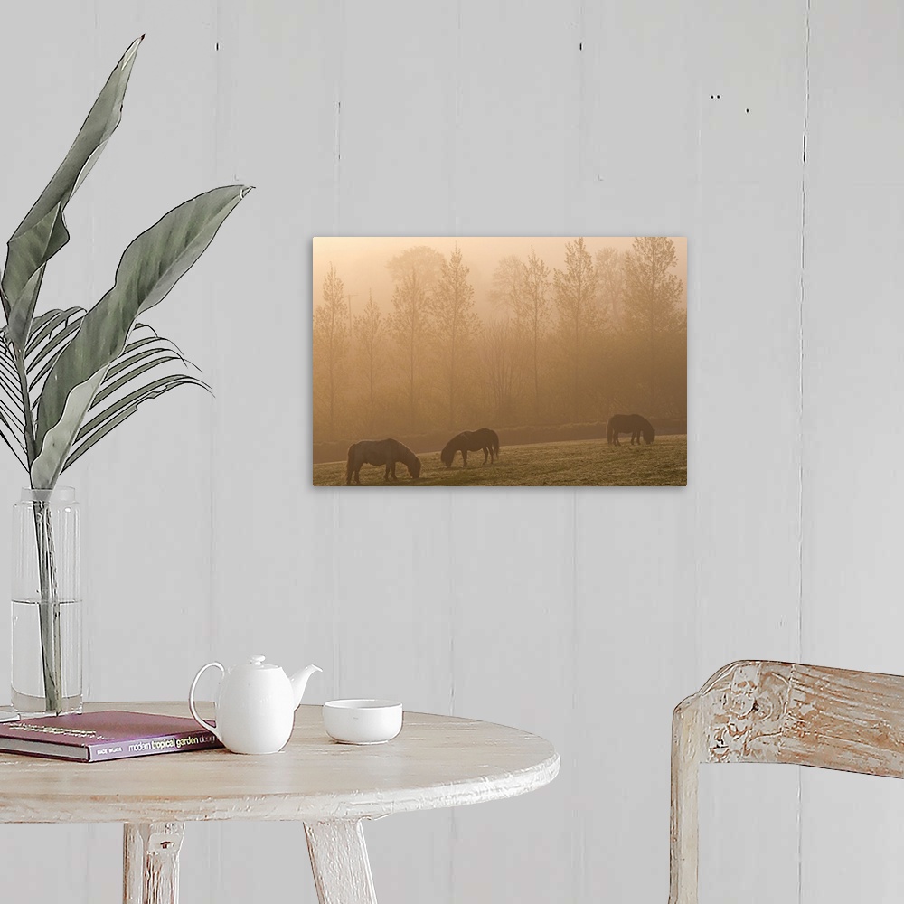A farmhouse room featuring Grazing ponies on a foggy morning.