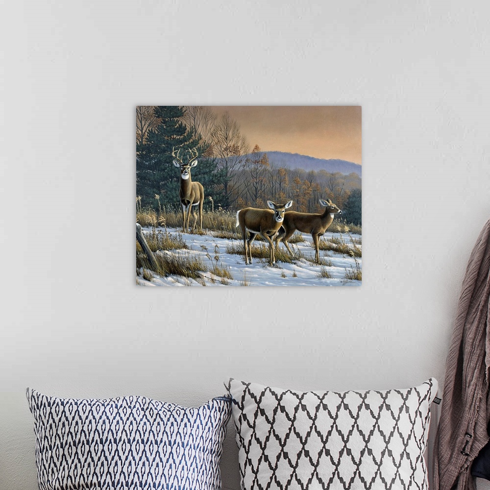 A bohemian room featuring White tail deer in a field at sunset.