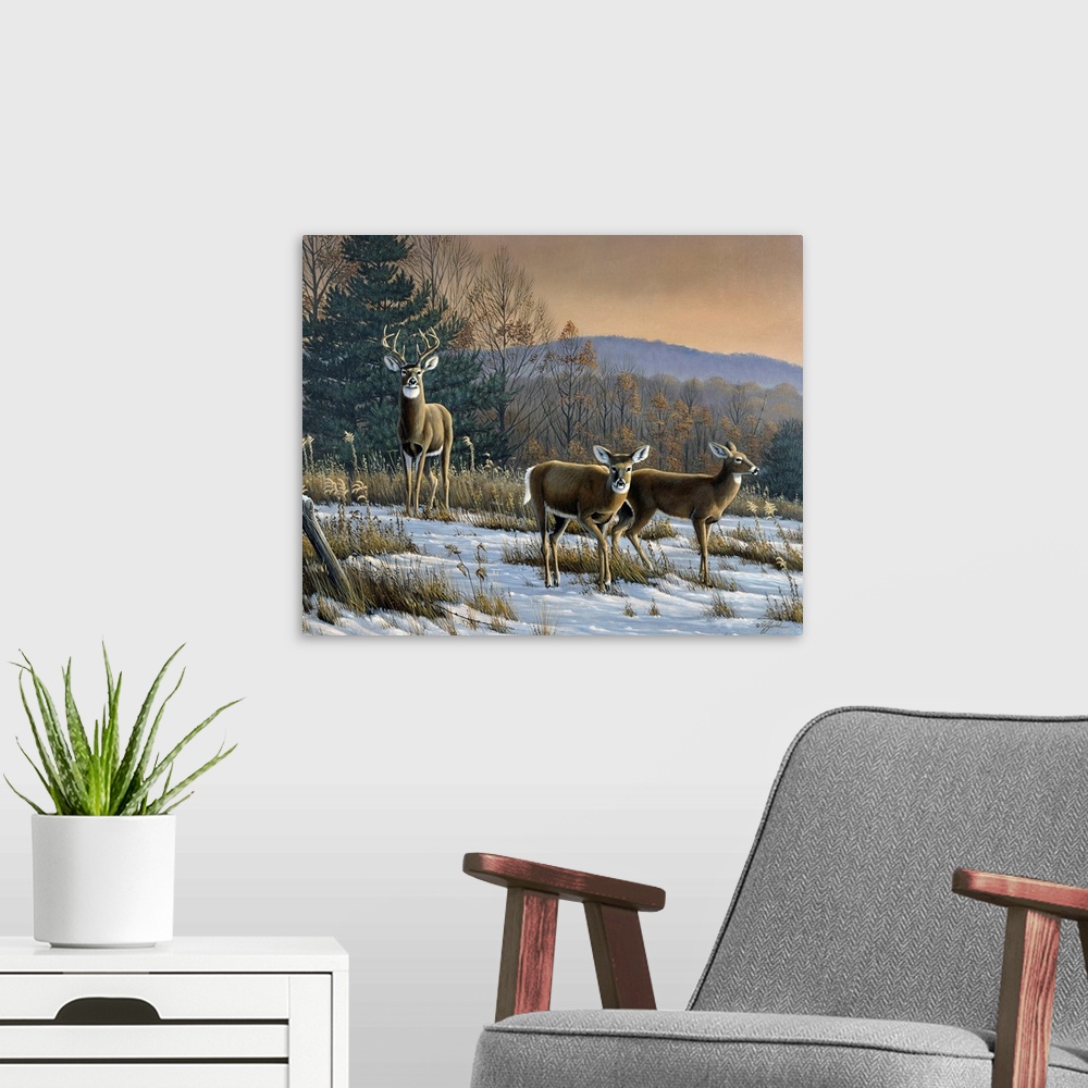 A modern room featuring White tail deer in a field at sunset.