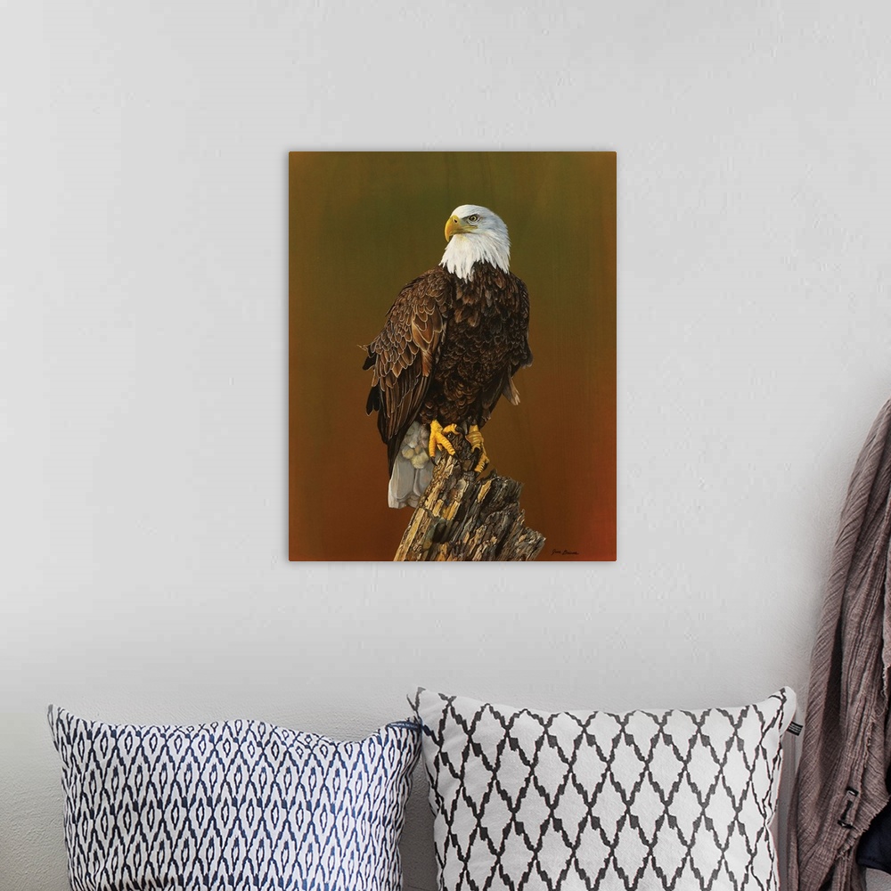 A bohemian room featuring Proud Bald Eagle