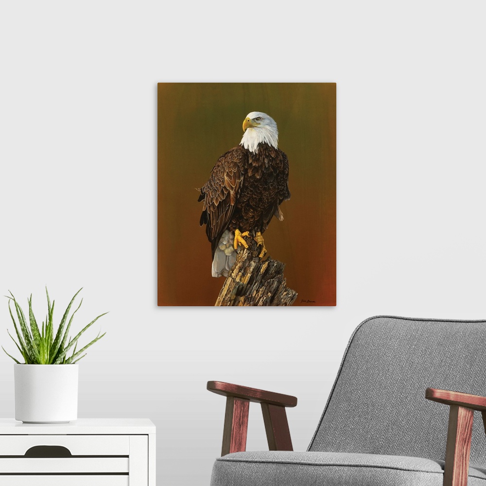 A modern room featuring Proud Bald Eagle