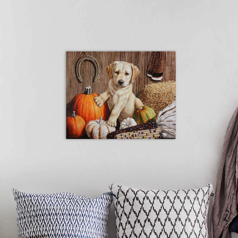 A bohemian room featuring A cute retriever puppy sitting among pumpkins and corn.
