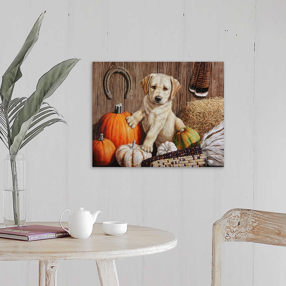 A farmhouse room featuring A cute retriever puppy sitting among pumpkins and corn.