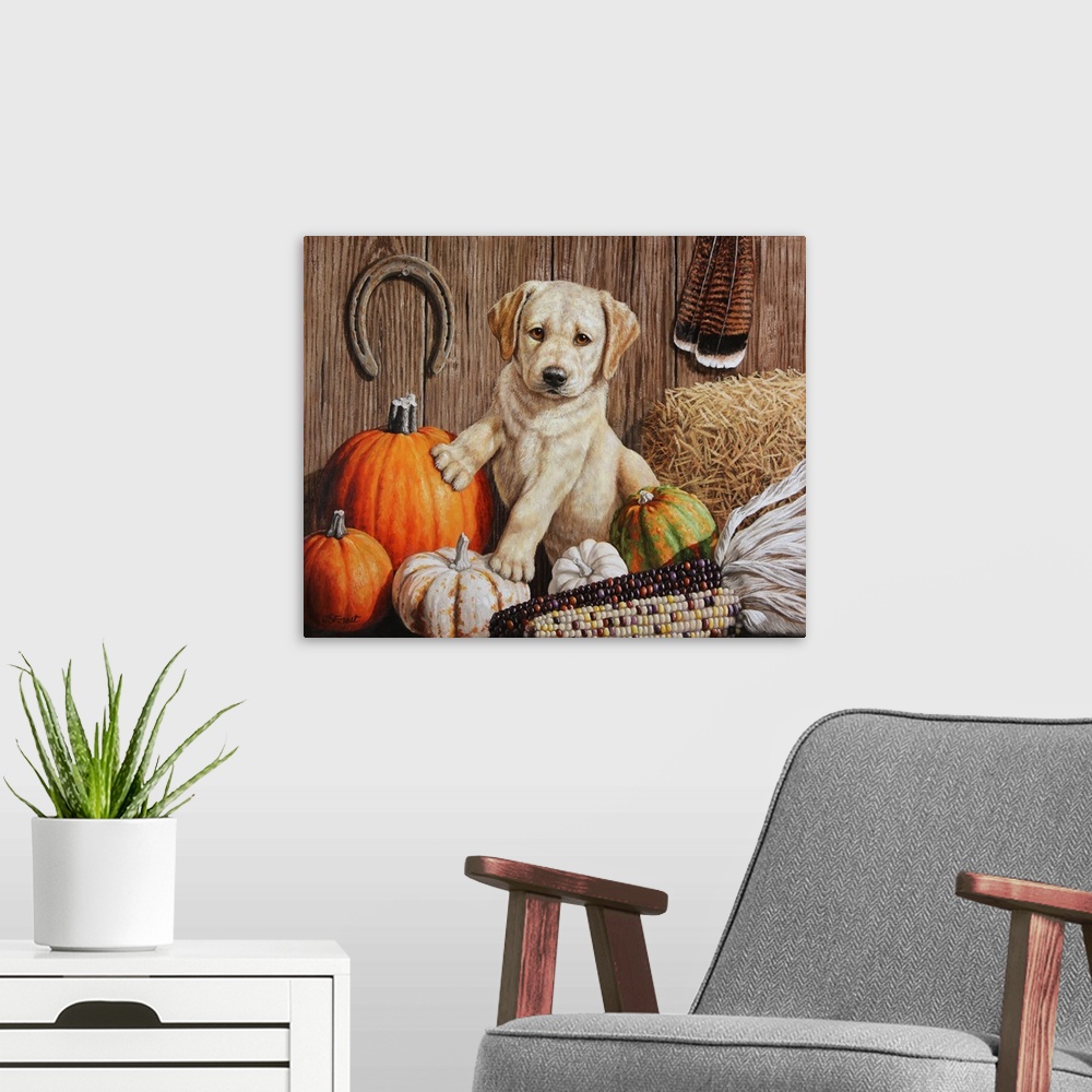 A modern room featuring A cute retriever puppy sitting among pumpkins and corn.