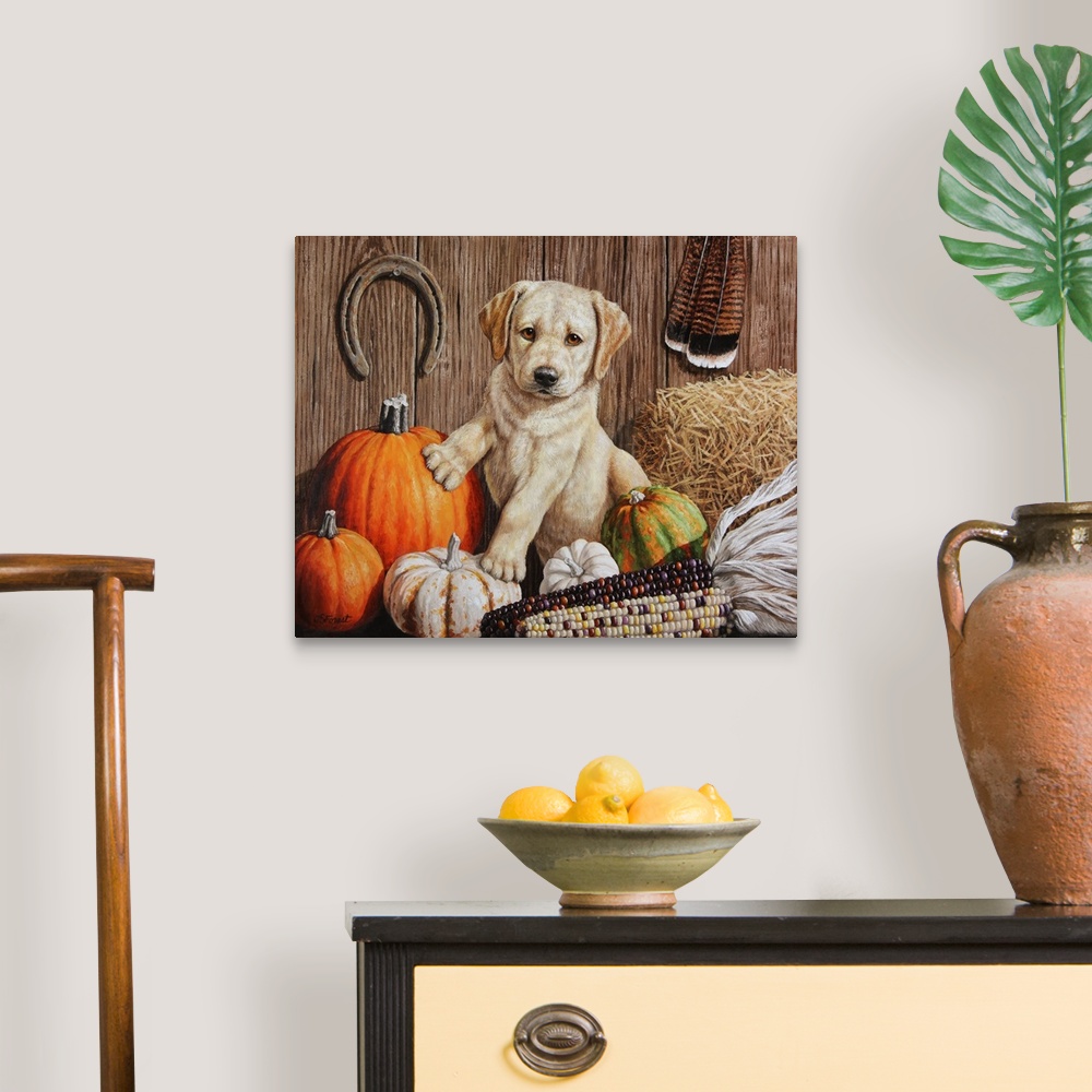 A traditional room featuring A cute retriever puppy sitting among pumpkins and corn.