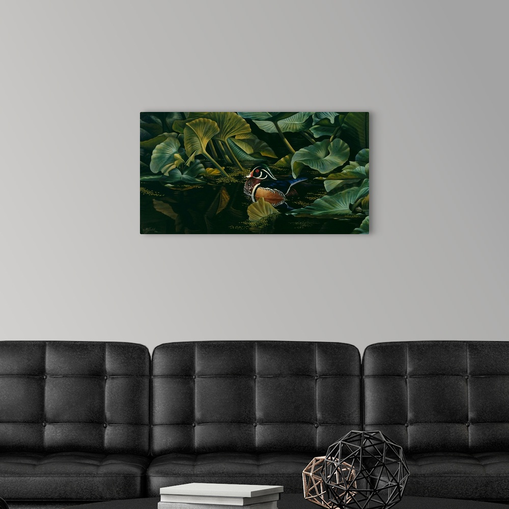 A modern room featuring Duck amongst the lily pads.