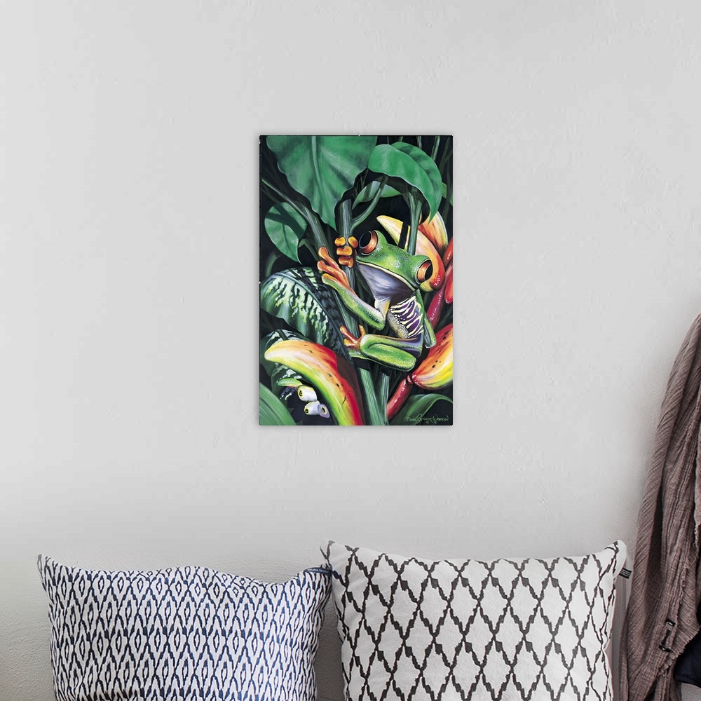 A bohemian room featuring Orange-eyed tree frog.