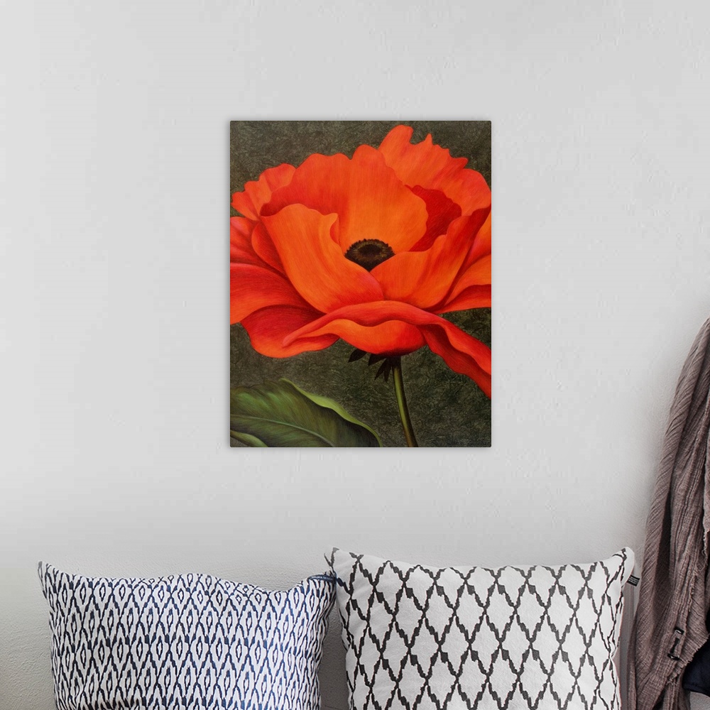 A bohemian room featuring single red poppy on green background