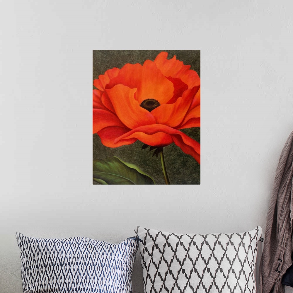 A bohemian room featuring single red poppy on green background