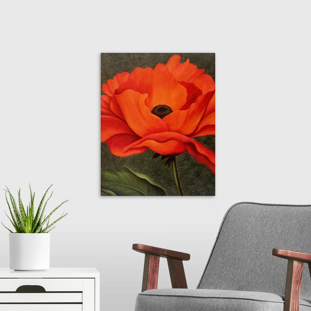A modern room featuring single red poppy on green background